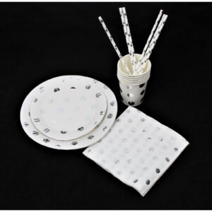 Vienkartinių indų rinkinys